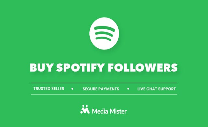 From 1K to 10K Spotify Followers – Scaling Up the Smart Way 3
